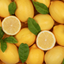 Lemon 100% Pure Essential Oil