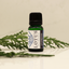 Cypress 100% Pure Essential Oil