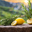 Lemon + Rosemary 100% Pure Essential Oil